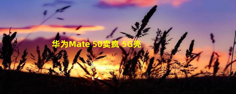 华为Mate 50卖疯 5G壳没人买价格腰斩：官方回应！