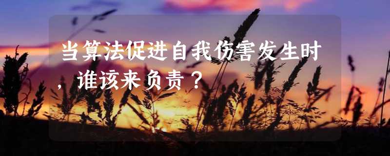 当算法促进自我伤害发生时，谁该来负责？