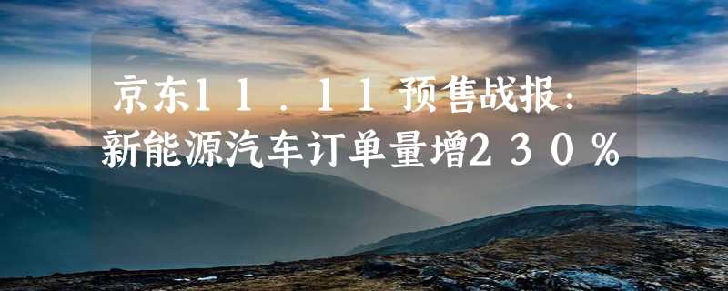 京东11.11预售战报：新能源汽车订单量增230%