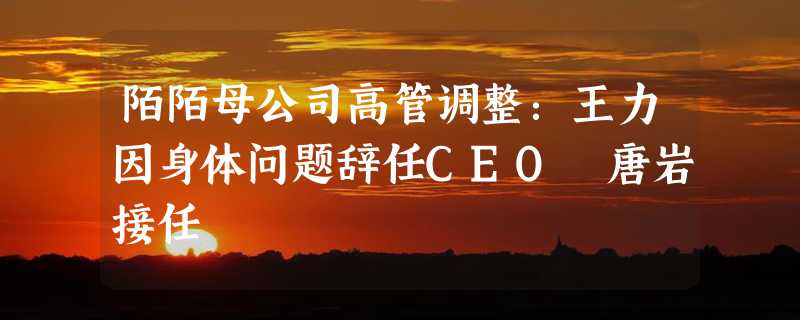 陌陌母公司高管调整：王力因身体问题辞任CEO 唐岩接任