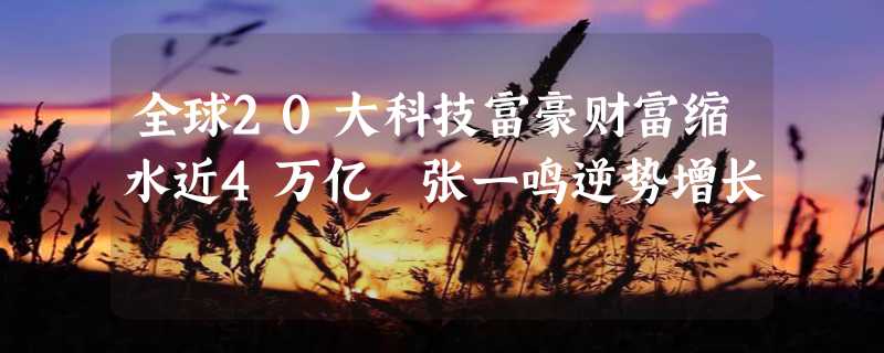 全球20大科技富豪财富缩水近4万亿 张一鸣逆势增长