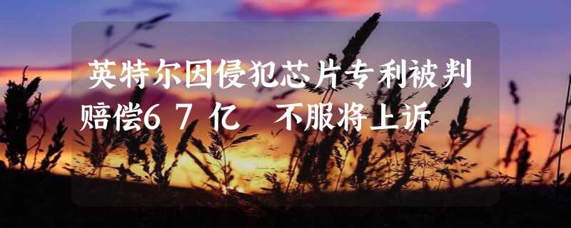 英特尔因侵犯芯片专利被判赔偿67亿 不服将上诉