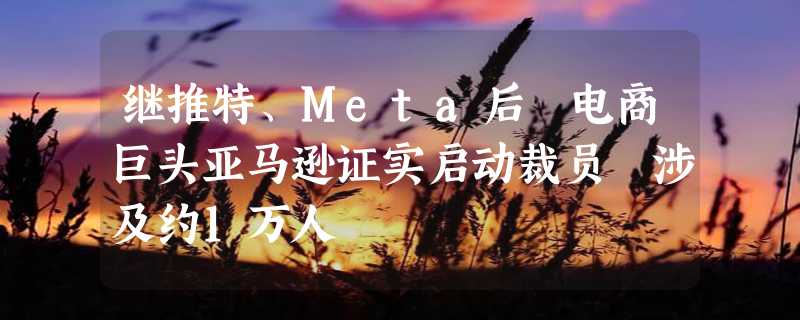 继推特、Meta后 电商巨头亚马逊证实启动裁员 涉及约1万人