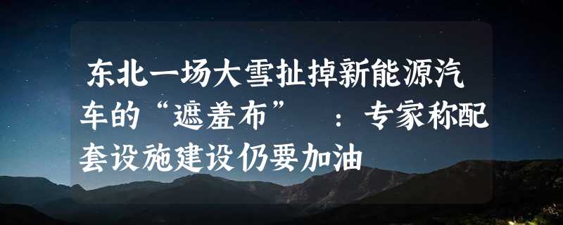 东北一场大雪扯掉新能源汽车的“遮羞布” ：专家称配套设施建设仍要加油