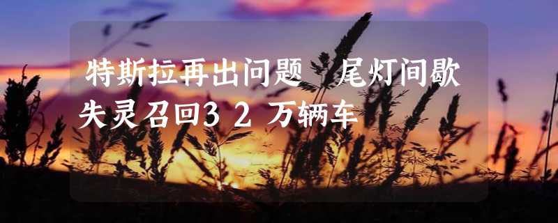 特斯拉再出问题 尾灯间歇失灵召回32万辆车