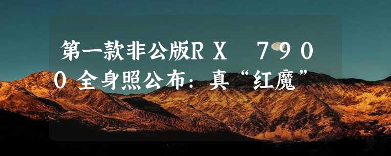 第一款非公版RX 7900全身照公布：真“红魔”