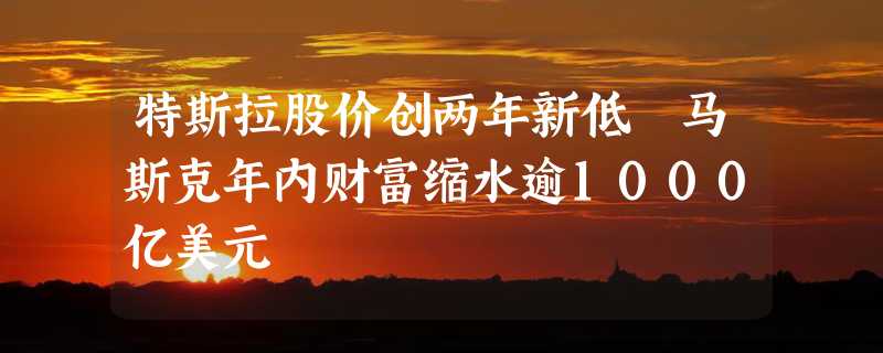 特斯拉股价创两年新低 马斯克年内财富缩水逾1000亿美元