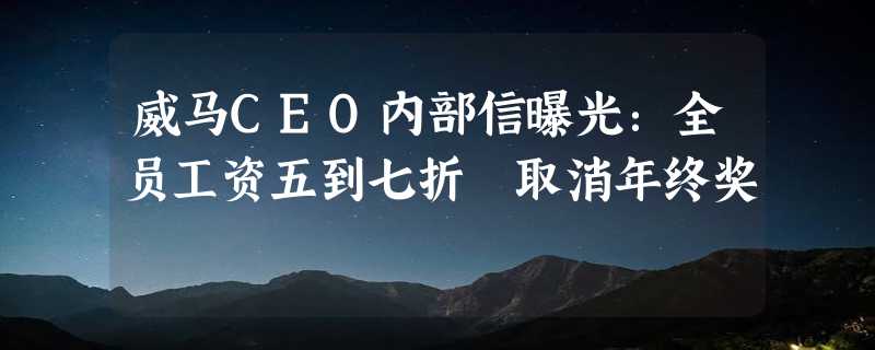 威马CEO内部信曝光：全员工资五到七折 取消年终奖