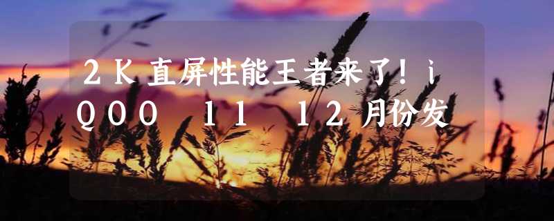 2K直屏性能王者来了！iQOO 11 12月份发