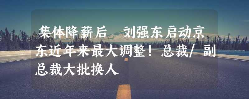 集体降薪后 刘强东启动京东近年来最大调整！总裁/副总裁大批换人