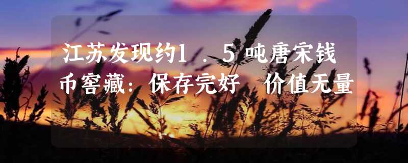 江苏发现约1.5吨唐宋钱币窖藏：保存完好 价值无量