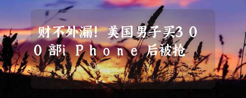 财不外漏！美国男子买300部iPhone后被抢