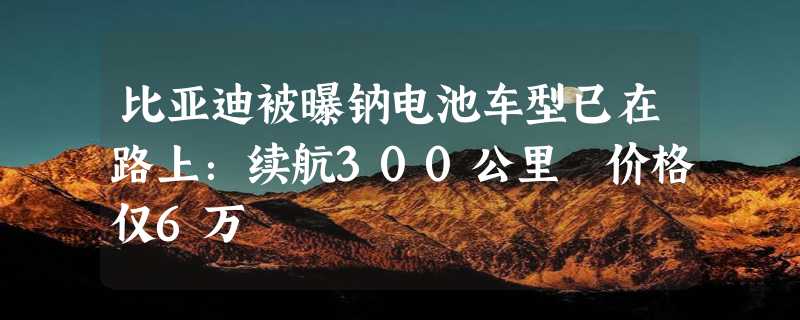 比亚迪被曝钠电池车型已在路上：续航300公里 价格仅6万