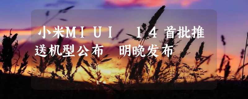 小米MIUI 14首批推送机型公布 明晚发布