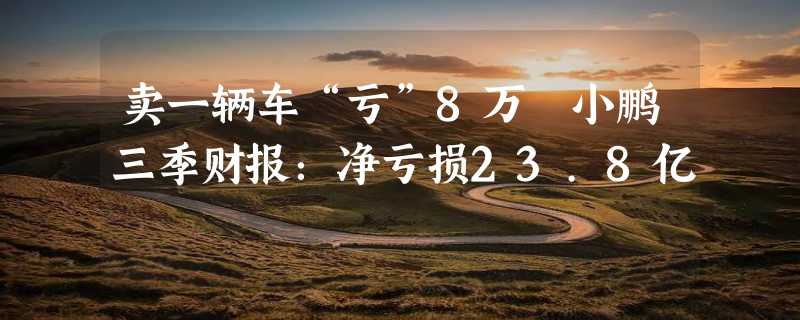 卖一辆车“亏”8万 小鹏三季财报：净亏损23.8亿