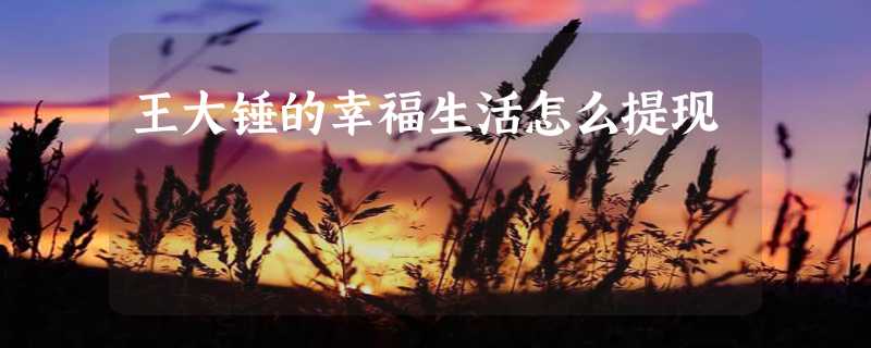 王大锤的幸福生活怎么提现