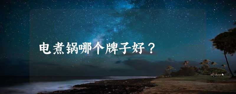 电煮锅哪个牌子好？