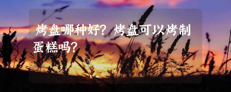 烤盘哪种好?烤盘可以烤制蛋糕吗?