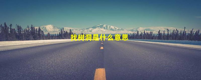 找树洞是什么意思