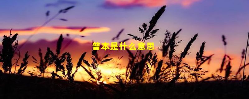 普本是什么意思