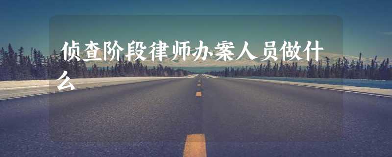 侦查阶段律师办案人员做什么