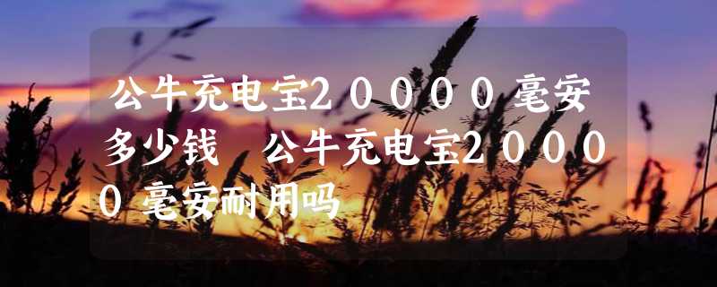 公牛充电宝20000毫安多少钱 公牛充电宝20000毫安耐用吗