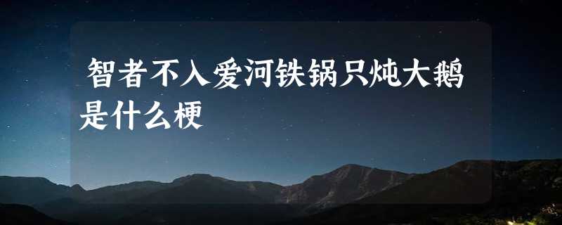 智者不入爱河铁锅只炖大鹅是什么梗