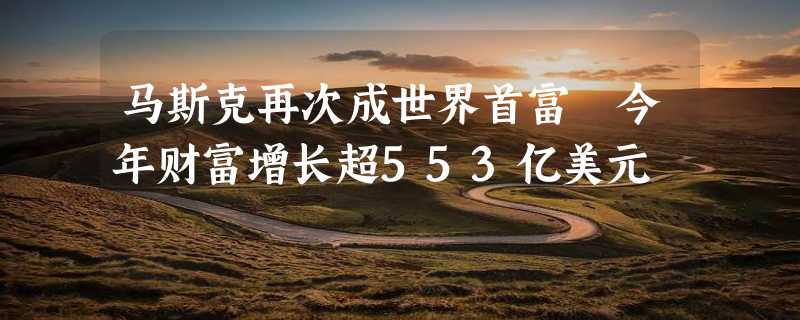 马斯克再次成世界首富 今年财富增长超553亿美元