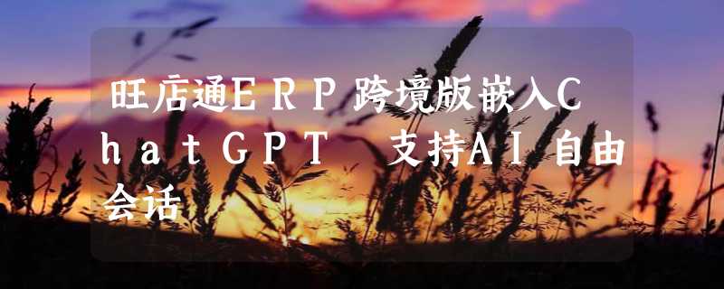 旺店通ERP跨境版嵌入ChatGPT 支持AI自由会话