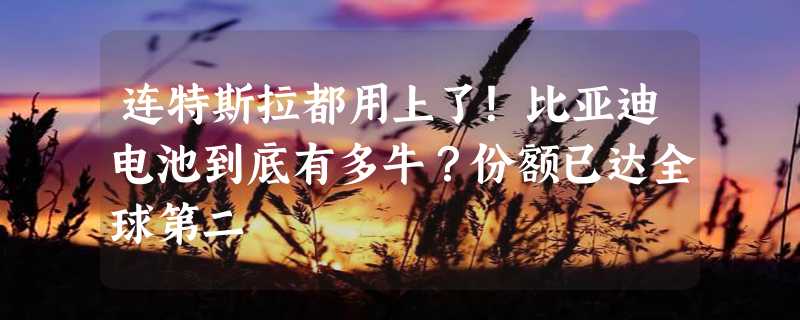 连特斯拉都用上了！比亚迪电池到底有多牛？份额已达全球第二