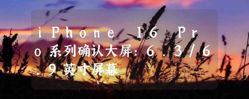 iPhone 16 Pro系列确认大屏：6.3/6.9英寸屏幕