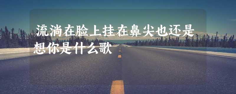 流淌在脸上挂在鼻尖也还是想你是什么歌