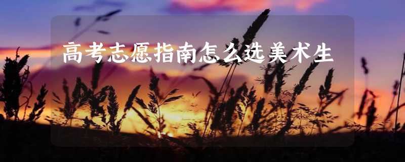 高考志愿指南怎么选美术生