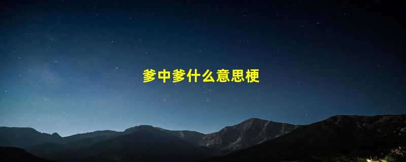 爹中爹什么意思梗