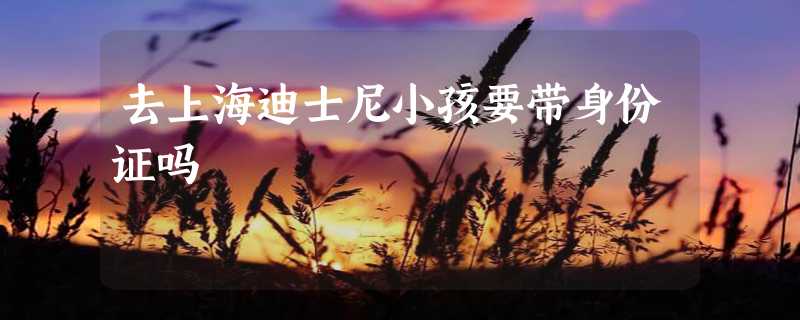 去上海迪士尼小孩要带身份证吗