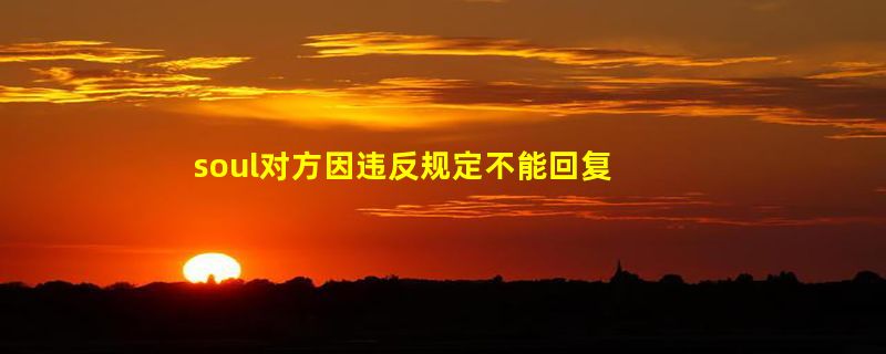 soul对方因违反规定不能回复是什么原因