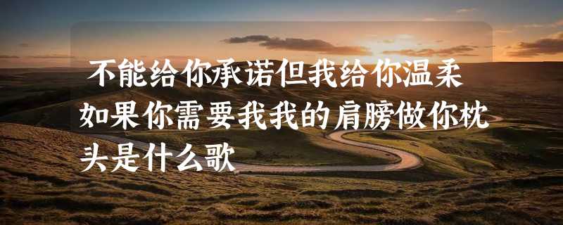 不能给你承诺但我给你温柔如果你需要我我的肩膀做你枕头是什么歌