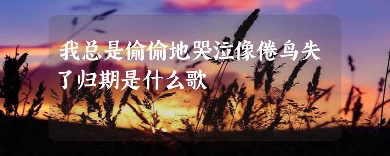 我总是偷偷地哭泣像倦鸟失了归期是什么歌