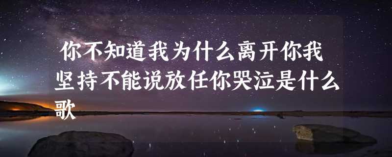 你不知道我为什么离开你我坚持不能说放任你哭泣是什么歌