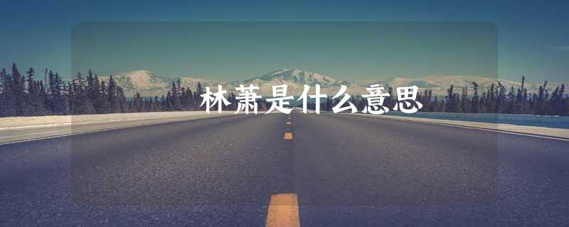 林萧是什么意思