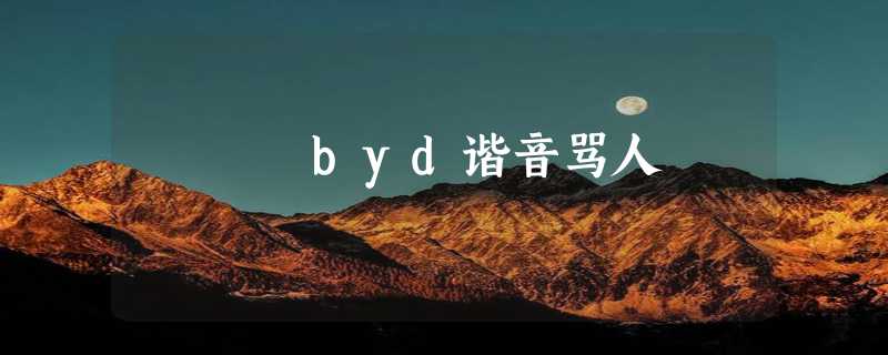 byd谐音骂人