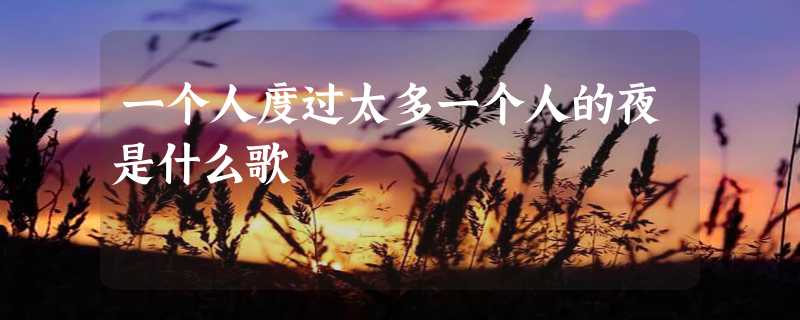 一个人度过太多一个人的夜是什么歌