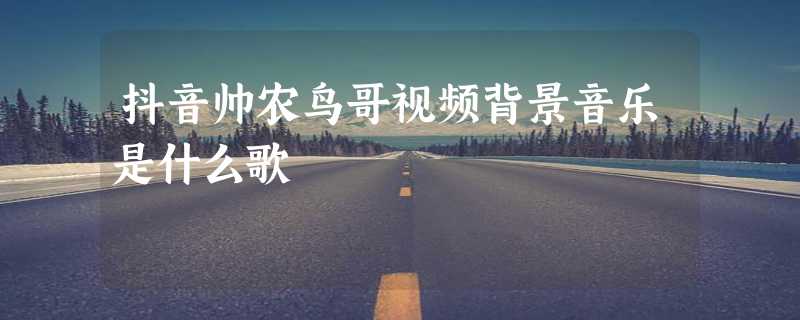 抖音帅农鸟哥视频背景音乐是什么歌