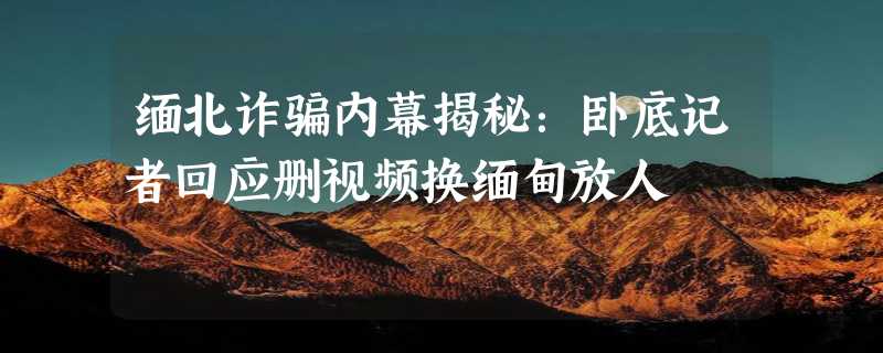 缅北诈骗内幕揭秘：卧底记者回应删视频换缅甸放人