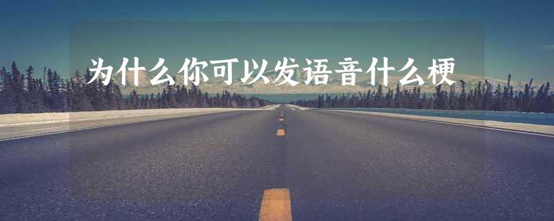 为什么你可以发语音什么梗