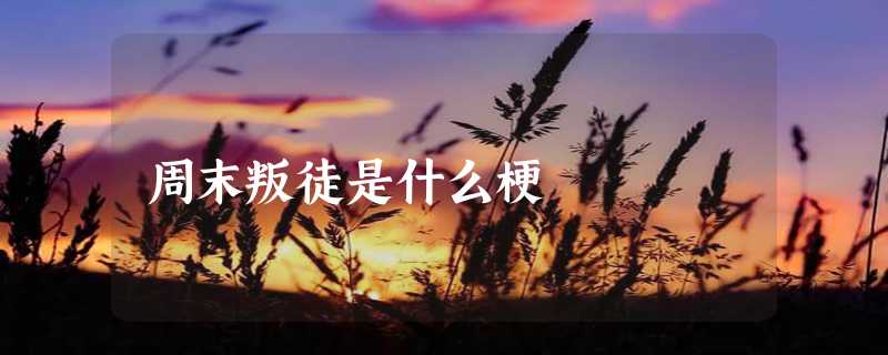 周末叛徒是什么梗