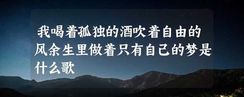 我喝着孤独的酒吹着自由的风余生里做着只有自己的梦是什么歌