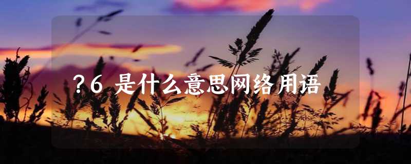 ？6是什么意思网络用语