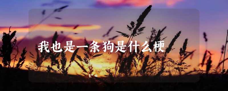 我也是一条狗是什么梗