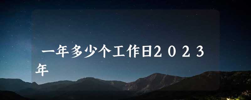 一年多少个工作日2023年